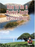 big_how-to-do-a-market-audit-successfully_300